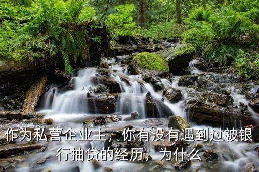 作為私營企業(yè)主，你有沒有遇到過被銀行抽貸的經(jīng)歷，為什么