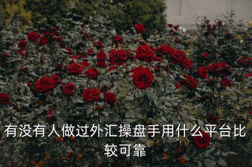 外匯操盤(pán)手是什么,最近應(yīng)聘了外匯操盤(pán)手的職位