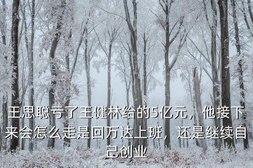 王思聰虧了王健林給的5億元，他接下來會怎么走是回萬達(dá)上班，還是繼續(xù)自己創(chuàng)業(yè)