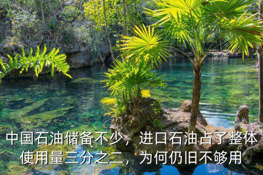 中國(guó)石油儲(chǔ)備不少，進(jìn)口石油占了整體使用量三分之二，為何仍舊不夠用