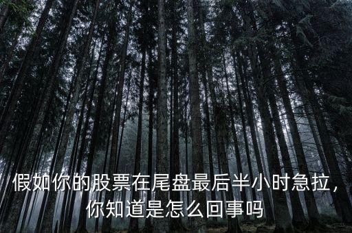 假如你的股票在尾盤最后半小時急拉，你知道是怎么回事嗎