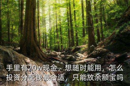 手里有20w現(xiàn)金，想隨時能用，怎么投資分配錢最合適，只能放余額寶嗎