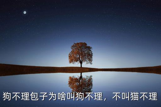 狗不理包子為啥叫狗不理，不叫貓不理