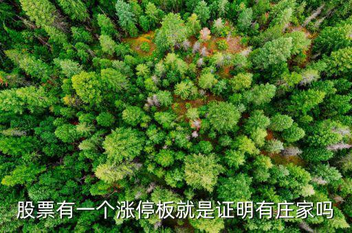 股票有一個(gè)漲停板就是證明有莊家嗎