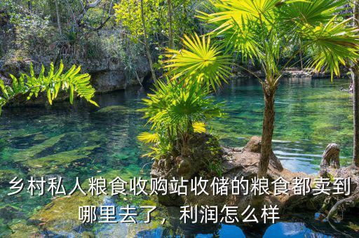 鄉(xiāng)村私人糧食收購站收儲的糧食都賣到哪里去了，利潤怎么樣