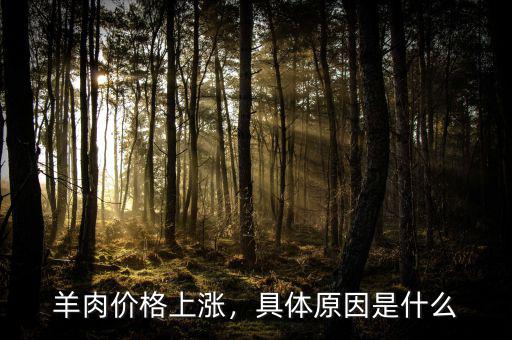 羊肉價(jià)格上漲，具體原因是什么