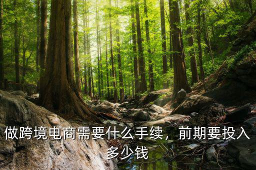 做跨境電商需要什么手續(xù)，前期要投入多少錢