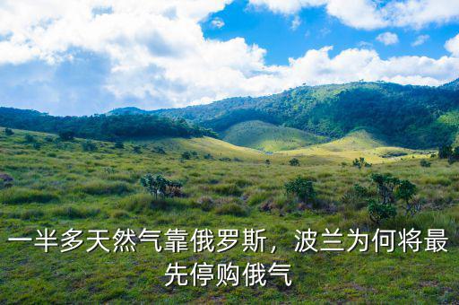 一半多天然氣靠俄羅斯，波蘭為何將最先停購(gòu)俄氣