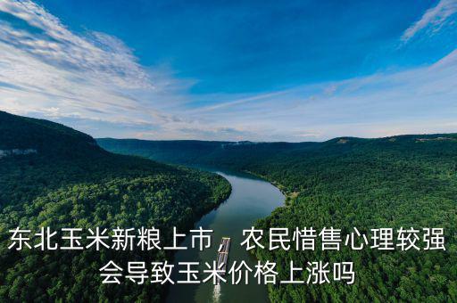 東北玉米新糧上市，農(nóng)民惜售心理較強會導(dǎo)致玉米價格上漲嗎