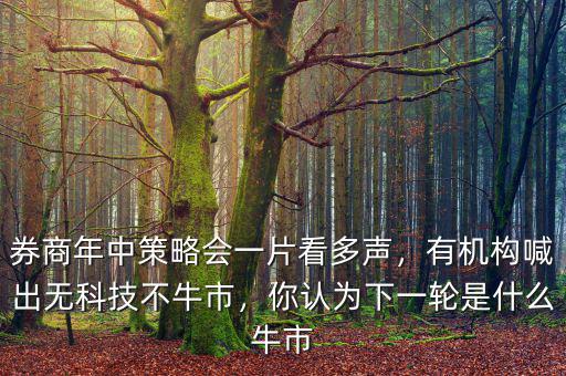 券商年中策略會一片看多聲，有機(jī)構(gòu)喊出無科技不牛市，你認(rèn)為下一輪是什么牛市