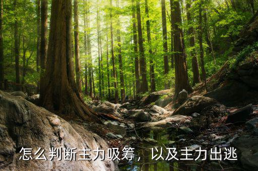怎么判斷主力吸籌，以及主力出逃