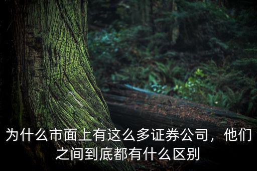 為什么市面上有這么多證券公司，他們之間到底都有什么區(qū)別