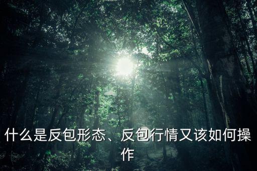 什么是反包形態(tài)、反包行情又該如何操作