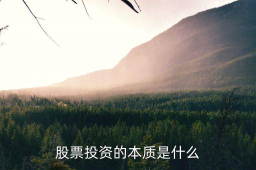 股票投資的本質是什么