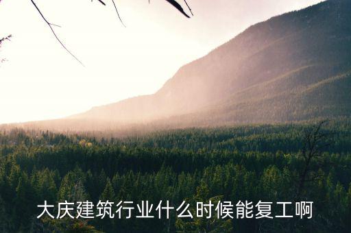 大慶建筑行業(yè)什么時候能復工啊