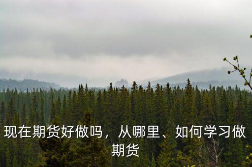 現(xiàn)在期貨好做嗎，從哪里、如何學(xué)習(xí)做期貨