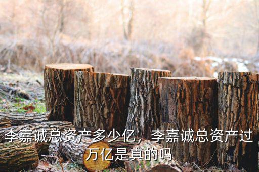 李嘉誠總資產(chǎn)多少億，李嘉誠總資產(chǎn)過萬億是真的嗎