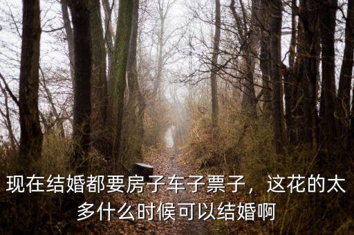 現(xiàn)在結(jié)婚都要房子車子票子，這花的太多什么時候可以結(jié)婚啊