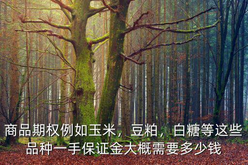商品期權例如玉米，豆粕，白糖等這些品種一手保證金大概需要多少錢