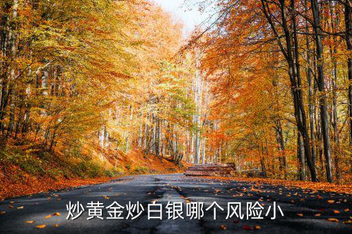 炒黃金炒白銀哪個風險小