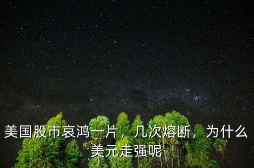 美國股市哀鴻一片，幾次熔斷，為什么美元走強呢