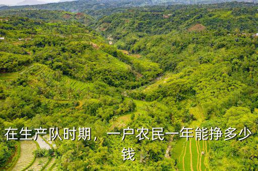 在生產(chǎn)隊時期，一戶農(nóng)民一年能掙多少錢