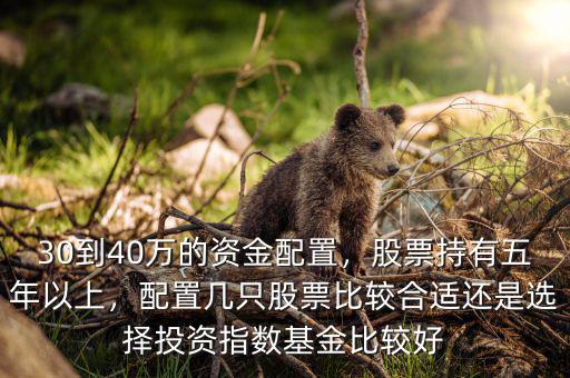 30到40萬的資金配置，股票持有五年以上，配置幾只股票比較合適還是選擇投資指數(shù)基金比較好