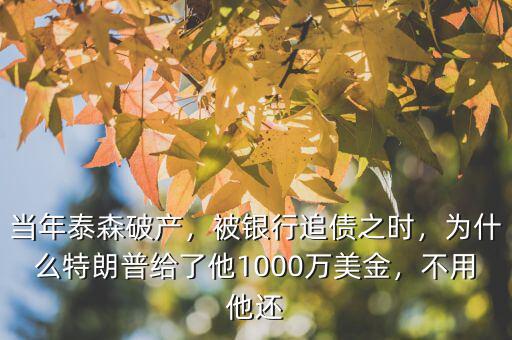 當(dāng)年泰森破產(chǎn)，被銀行追債之時(shí)，為什么特朗普給了他1000萬美金，不用他還