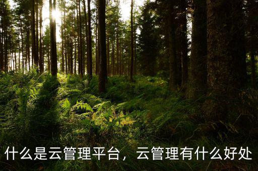 什么是云管理平臺，云管理有什么好處