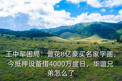 王中軍困局：曾花8億豪買名家字畫，今抵押設(shè)備借4000萬度日，華誼兄弟怎么了
