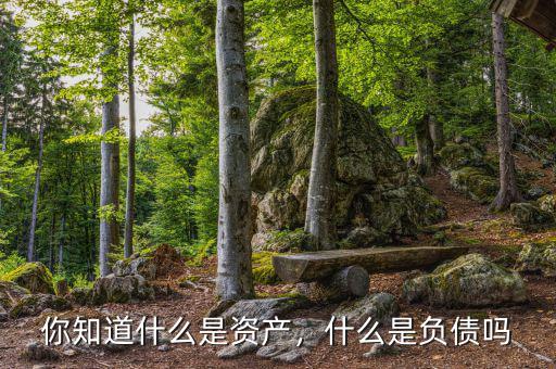 你知道什么是資產(chǎn)，什么是負(fù)債嗎