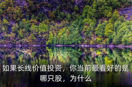 如果長線價值投資，你當前最看好的是哪只股，為什么