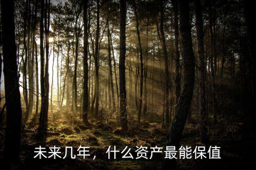 未來(lái)幾年，什么資產(chǎn)最能保值