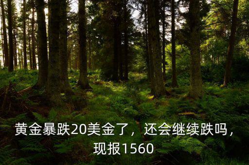 黃金暴跌20美金了，還會(huì)繼續(xù)跌嗎，現(xiàn)報(bào)1560