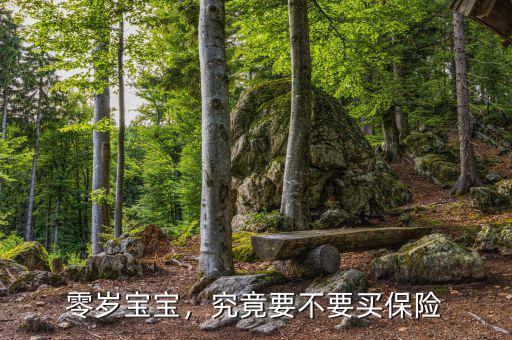 零歲寶寶，究竟要不要買(mǎi)保險(xiǎn)