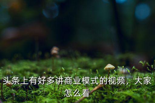 頭條上有好多講商業(yè)模式的視頻，大家怎么看
