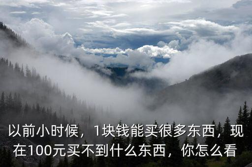 以前小時(shí)候，1塊錢能買很多東西，現(xiàn)在100元買不到什么東西，你怎么看