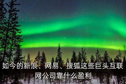 如今的新浪、網(wǎng)易、搜狐這些巨頭互聯(lián)網(wǎng)公司靠什么盈利