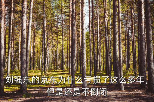 劉強(qiáng)東的京東為什么虧損了這么多年，但是還是不倒閉