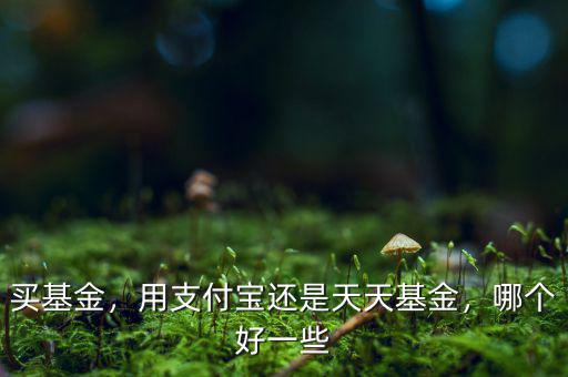 買基金，用支付寶還是天天基金，哪個好一些