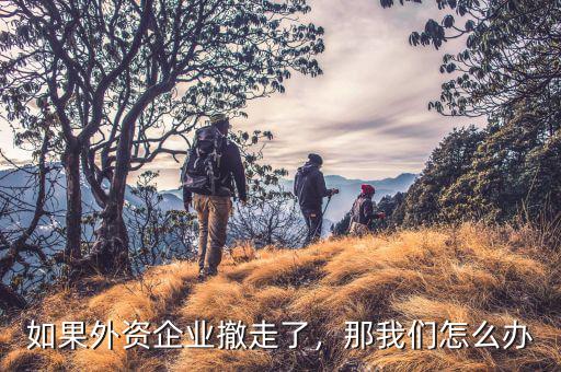 如果外資企業(yè)撤走了，那我們怎么辦