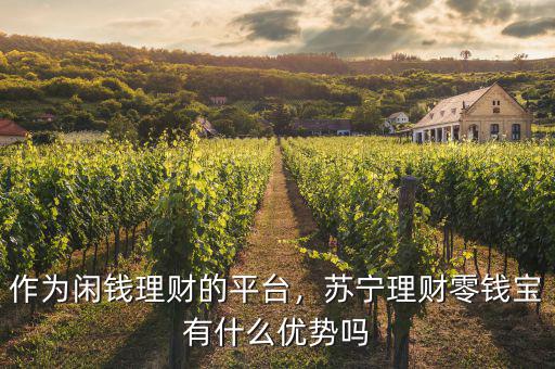 作為閑錢理財(cái)?shù)钠脚_(tái)，蘇寧理財(cái)零錢寶有什么優(yōu)勢(shì)嗎