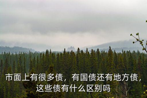 市面上有很多債，有國債還有地方債，這些債有什么區(qū)別嗎