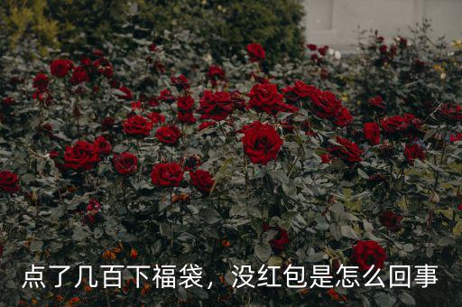 點了幾百下福袋，沒紅包是怎么回事