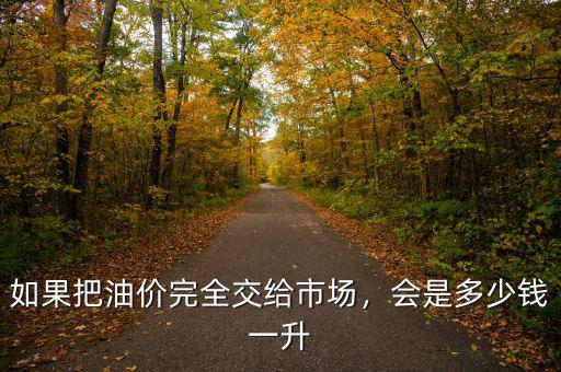 如果把油價(jià)完全交給市場，會(huì)是多少錢一升