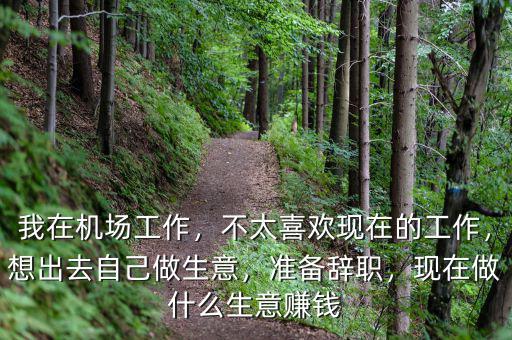 我在機場工作，不太喜歡現(xiàn)在的工作，想出去自己做生意，準備辭職，現(xiàn)在做什么生意賺錢