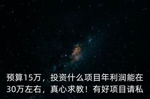 預(yù)算15萬，投資什么項(xiàng)目年利潤(rùn)能在30萬左右，真心求教！有好項(xiàng)目請(qǐng)私