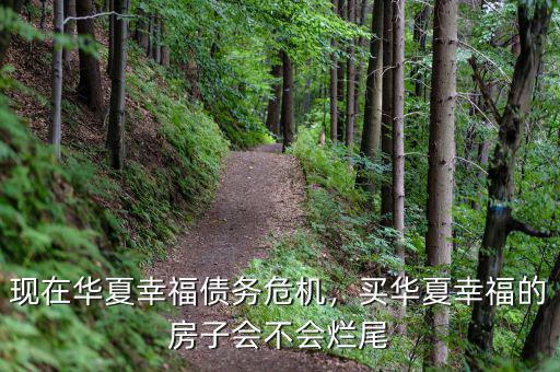 現(xiàn)在華夏幸福債務(wù)危機(jī)，買華夏幸福的房子會(huì)不會(huì)爛尾