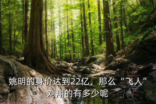 姚明的身價(jià)達(dá)到22億，那么“飛人”劉翔的有多少呢