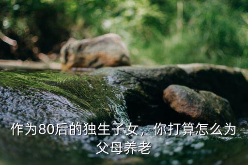 作為80后的獨生子女，你打算怎么為父母養(yǎng)老
